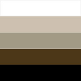 Screen Porch Window Frame Colors